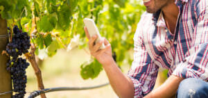 Blog Complete Wine Traceability