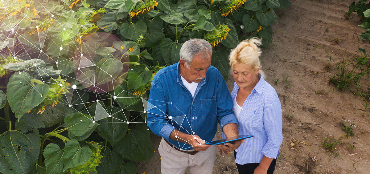 Blog Grow Your Farm Finances