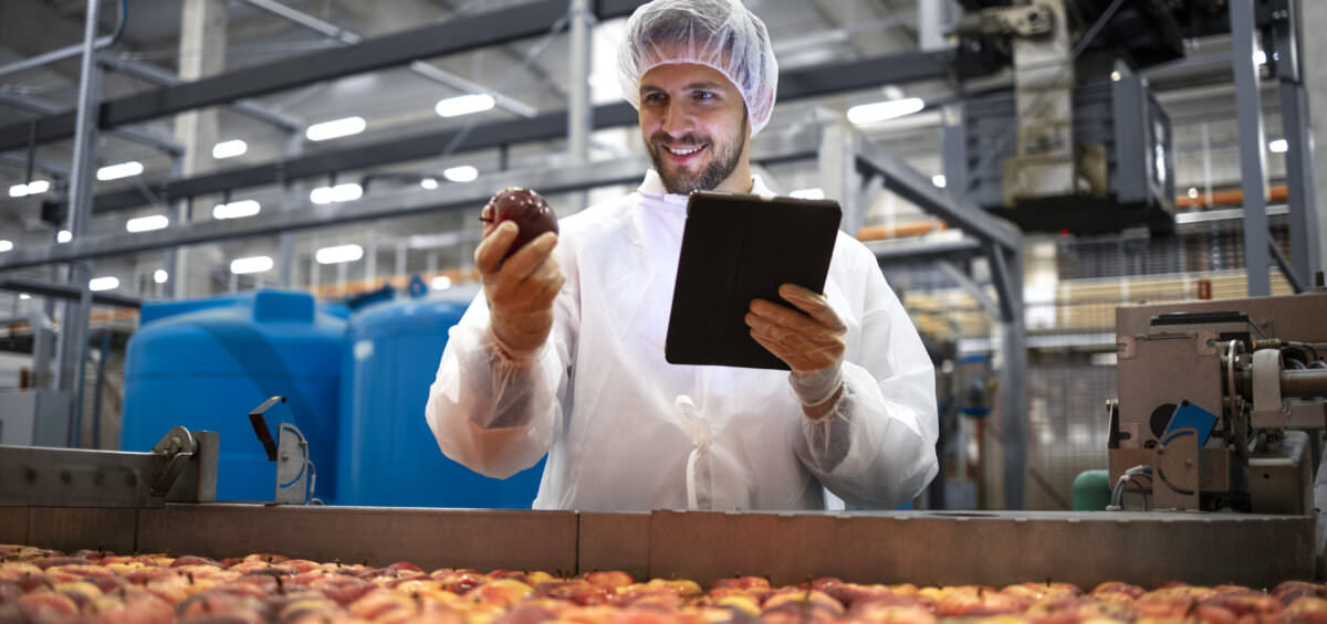 Technologist doing quality control of apple fruit production in