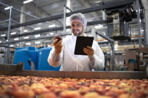 Technologist doing quality control of apple fruit production in
