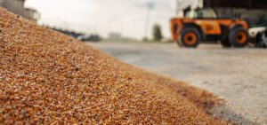 Blog Supply Chain
