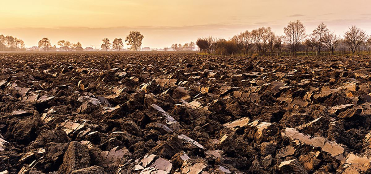 6 Soil Performance Indicators That Will Boost Yield_naslovna