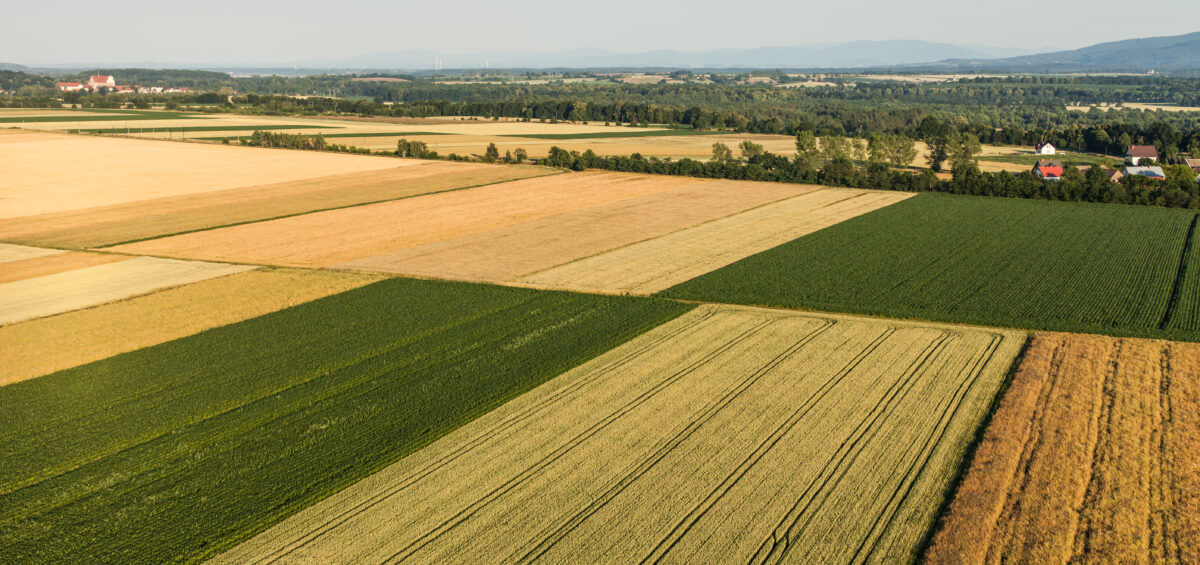 AGRIVI