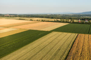 AGRIVI
