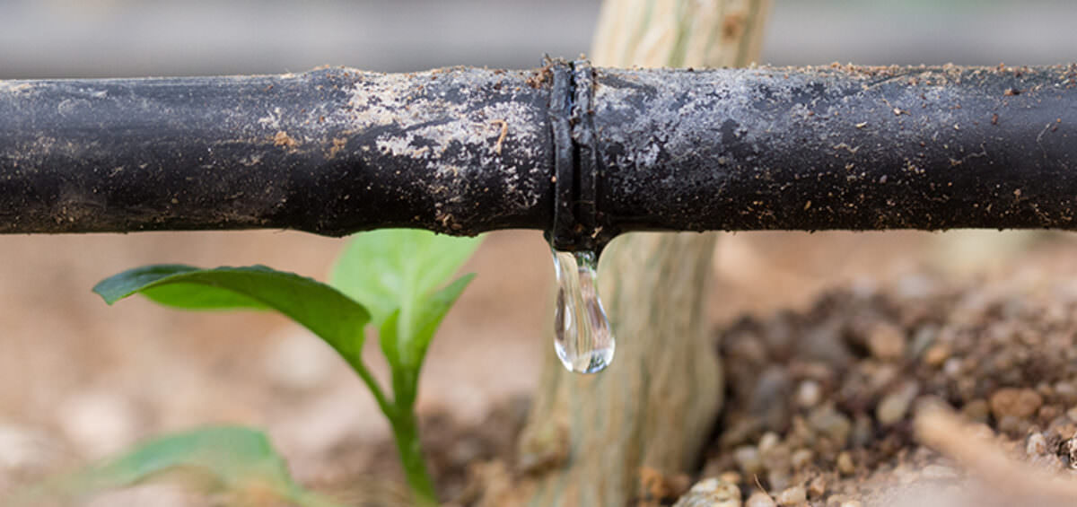 Drip Irrigation: Full Guide │ Function │ Parts - AGRIVI