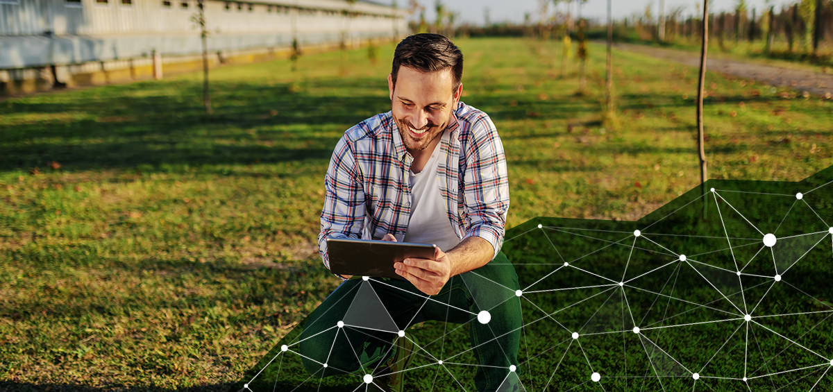 Digital Agriculture-Crop Anomalies-AGRIVI