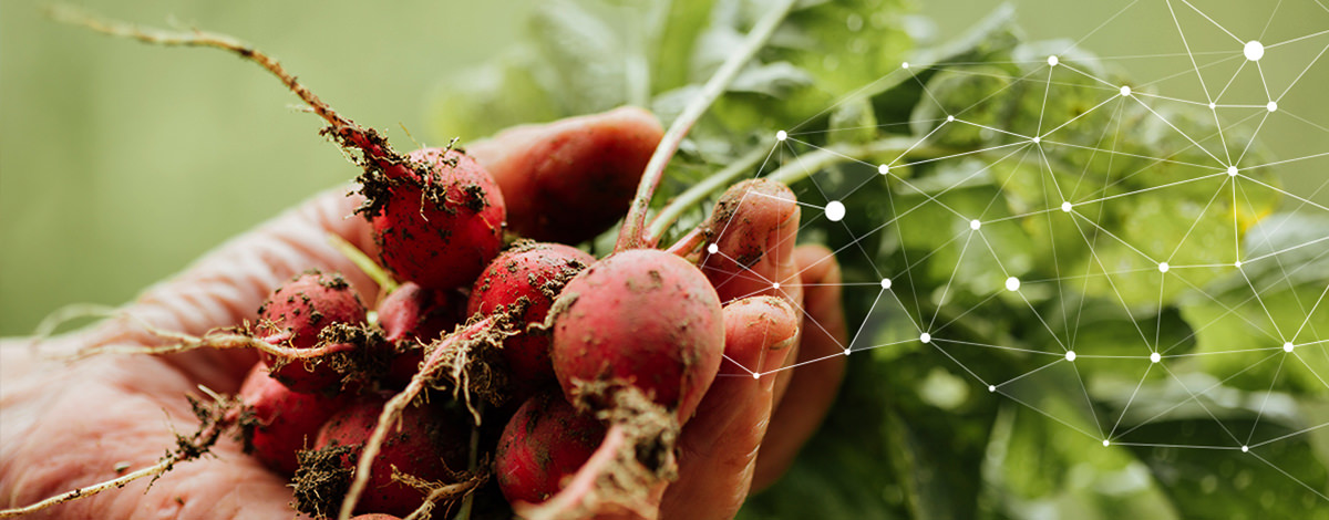 Food Transparency-AGRIVI