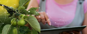 Food Transparency-AGRIVI