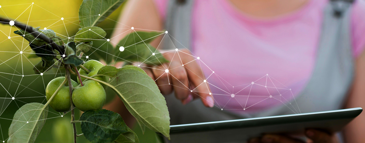 Food Transparency-AGRIVI