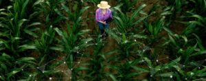 AGRIVI-Blog-Boost-Profitability(1)