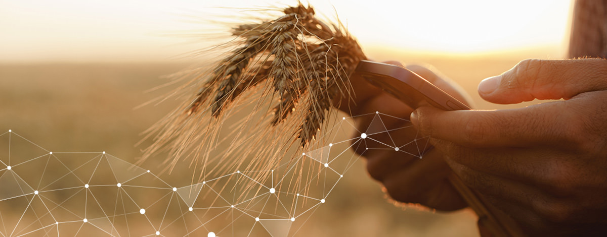 AGRIVI