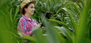 AGRIVI-Boost-Profitability-COVER