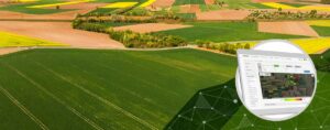 AGRIVI-Blog-Sustainable-Food-Production(3)