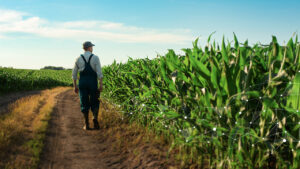 How AGRIVI Helps Farmers