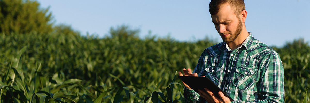 Ag Tech Solution