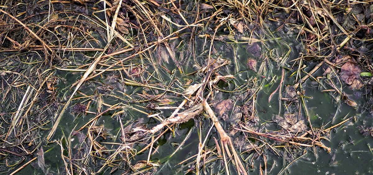 Environmental Pollution, Liquid Fertilizer
