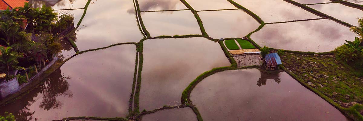 Flood Irrigation