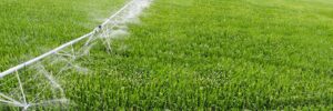 Water Sustainability