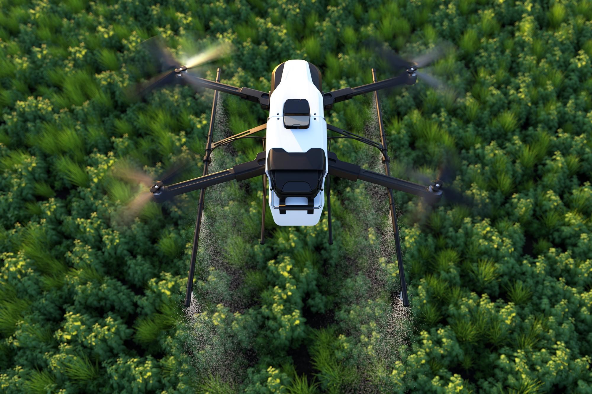 Drone spraying fertilizer on vegetable green plants agriculture technology farm automation