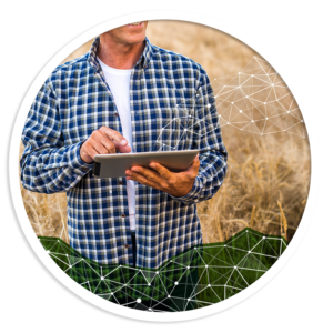 Agronomic Advisory
