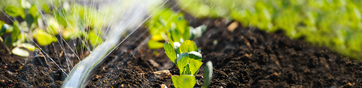 Irrigation system
