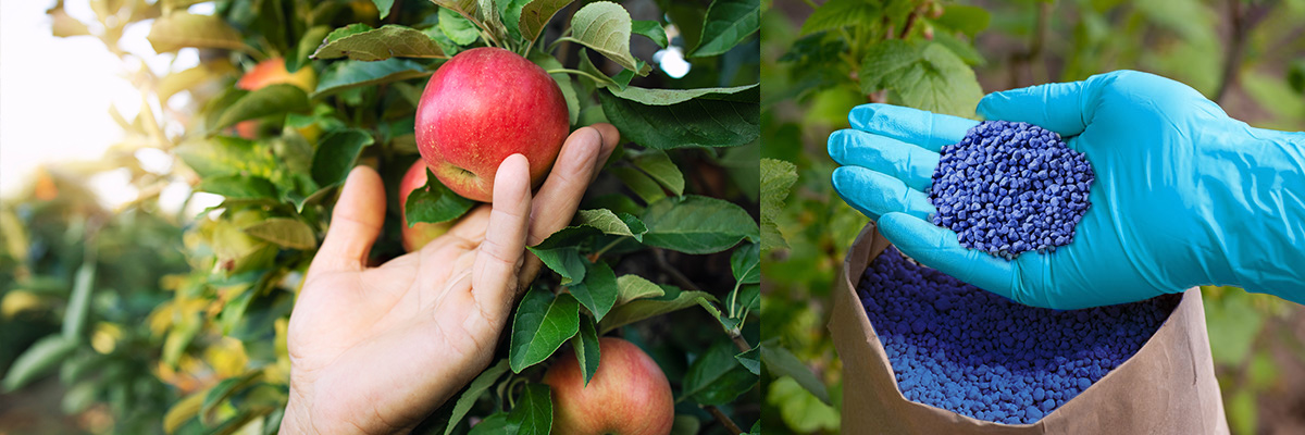 Van Iperen VIDA Digital Advisor powered by AGRIVI AI Engage