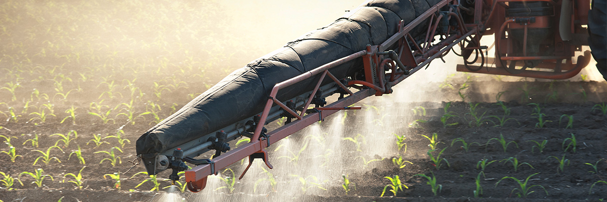 Crop protection spray application on young plants during the first spring spray window - cost per hectare calculation