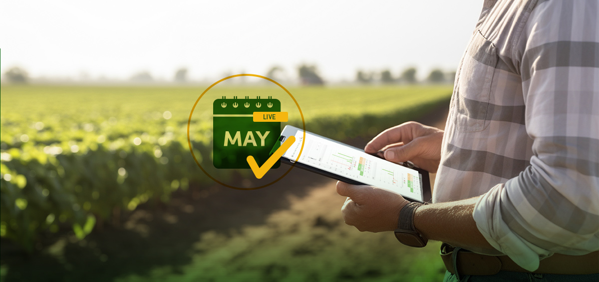 budget vs actual farm management farm operations manager reviewing seasonal cost dashboard on tablet AGRIVI FMS 360