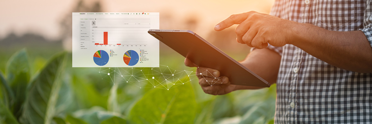 budget vs actual farm management real-time May live dashboard AGRIVI FMS 360 farm operations manager with tablet in the field