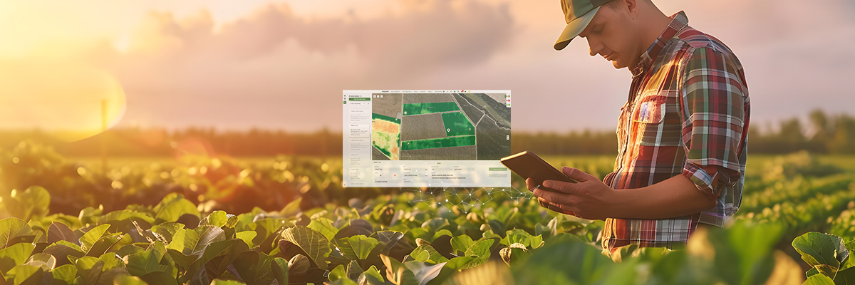 farm cost tracking mid-season specialty crop farm manager reviewing field performance data on tablet AGRIVI FMS 360