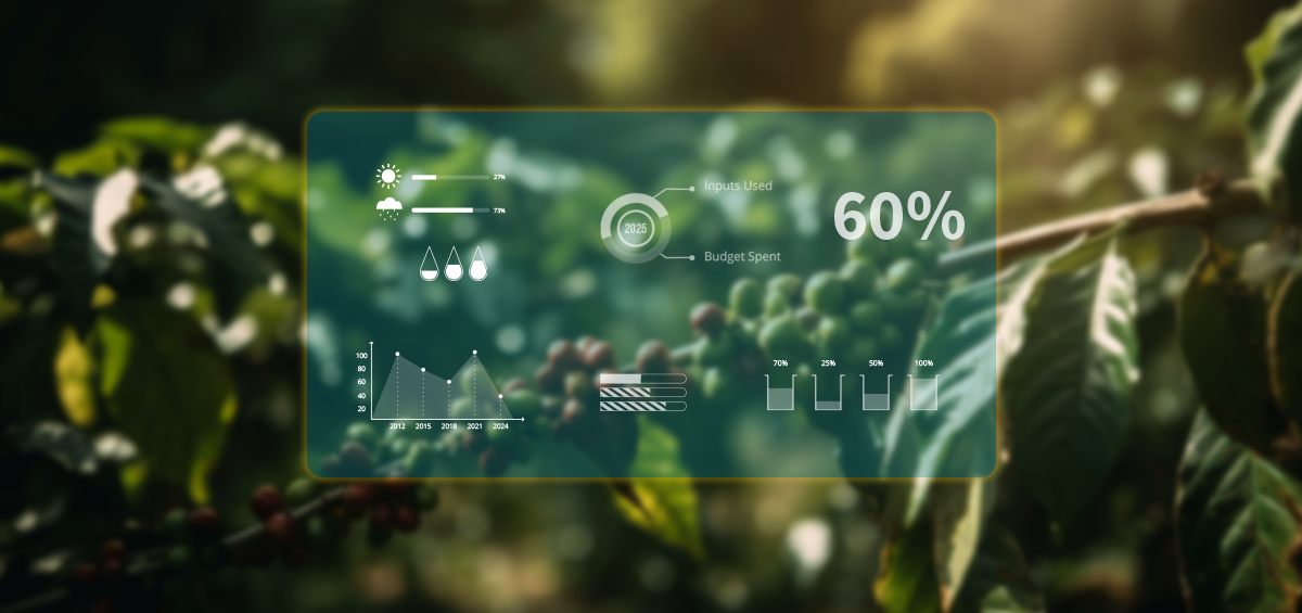 Coffee value chain data infrastructure consolidating around verified agronomic knowledge, with Viber and WhatsApp messaging icons.