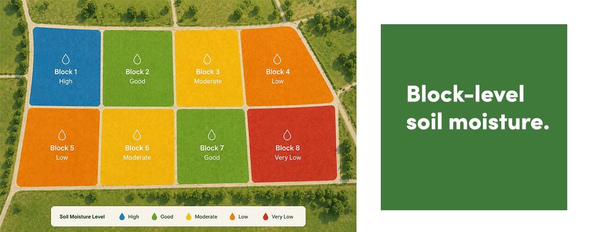 Block-level soil moisture dashboard mockup for Mediterranean specialty crop water management.
