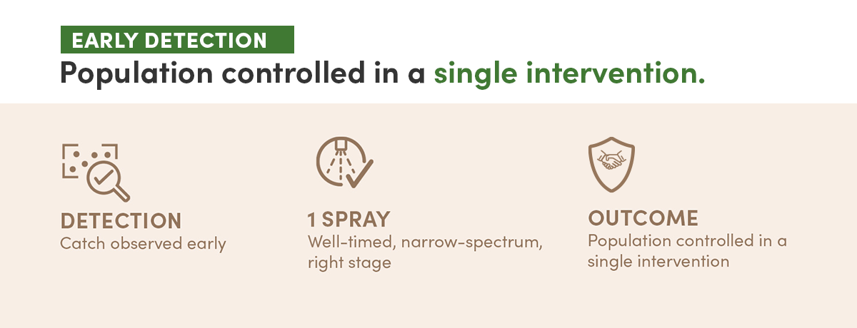 Early Detection diagram showing: Detection (catch observed early), 1 Spray (well-timed, narrow-spectrum, right stage), Outcome (population controlled in a single intervention). Population controlled in a single intervention.