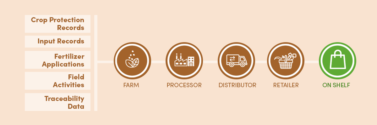 Infographic showing CSRD Scope 1 at 2%, Scope 2 at 3%, and Scope 3 at 70-90% of total emissions for food companies, with agricultural sourcing accounting for 40-60% of Scope 3 emissions. Source: GHG Protocol and European Commission CSRD Overview