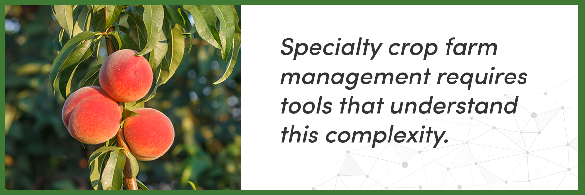 Three core challenges of specialty crop farm management: multi-variety management, labor coordination, and cost attribution, illustrated with icons on an AGRIVI green background.